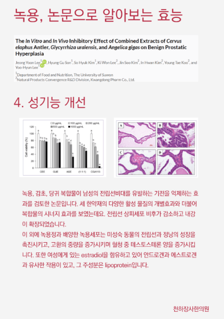 논문 4